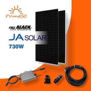 730W Balkonkraftwerk Solaranlage Photovoltaik mit Deye Wechselrichter SUN6003G